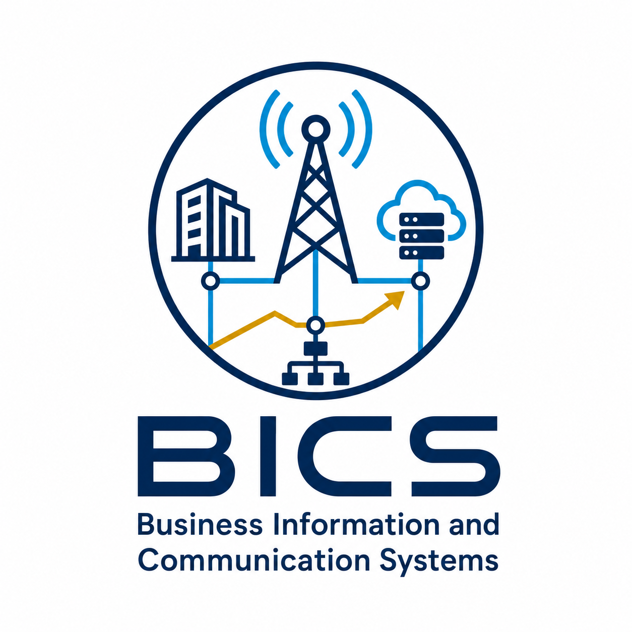 Business Information and Communication Systems